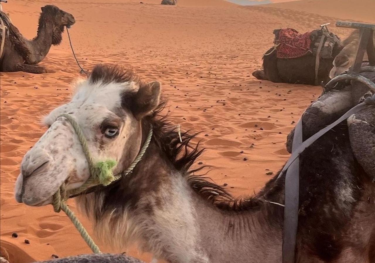 Amazing Luxury Camp Hotell Merzouga Exteriör bild