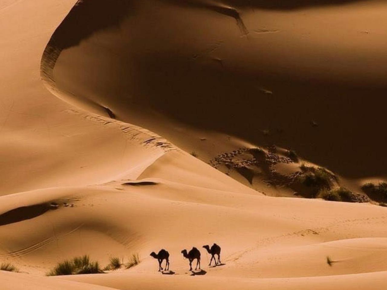 Amazing Luxury Camp Hotell Merzouga Exteriör bild